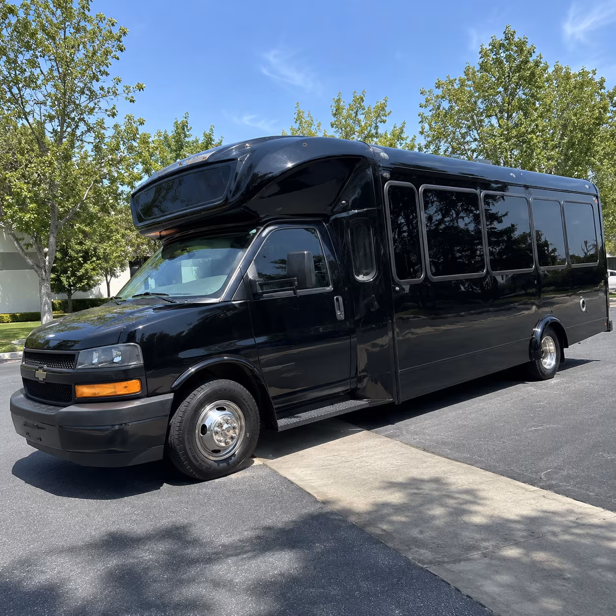 avondale 15 passenger party bus