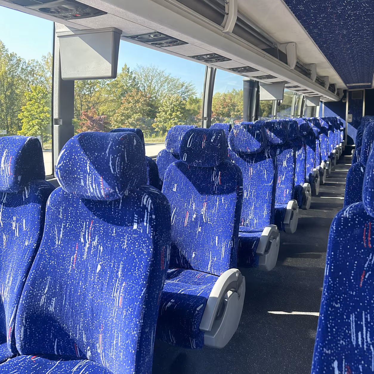 avondale bus rental service area