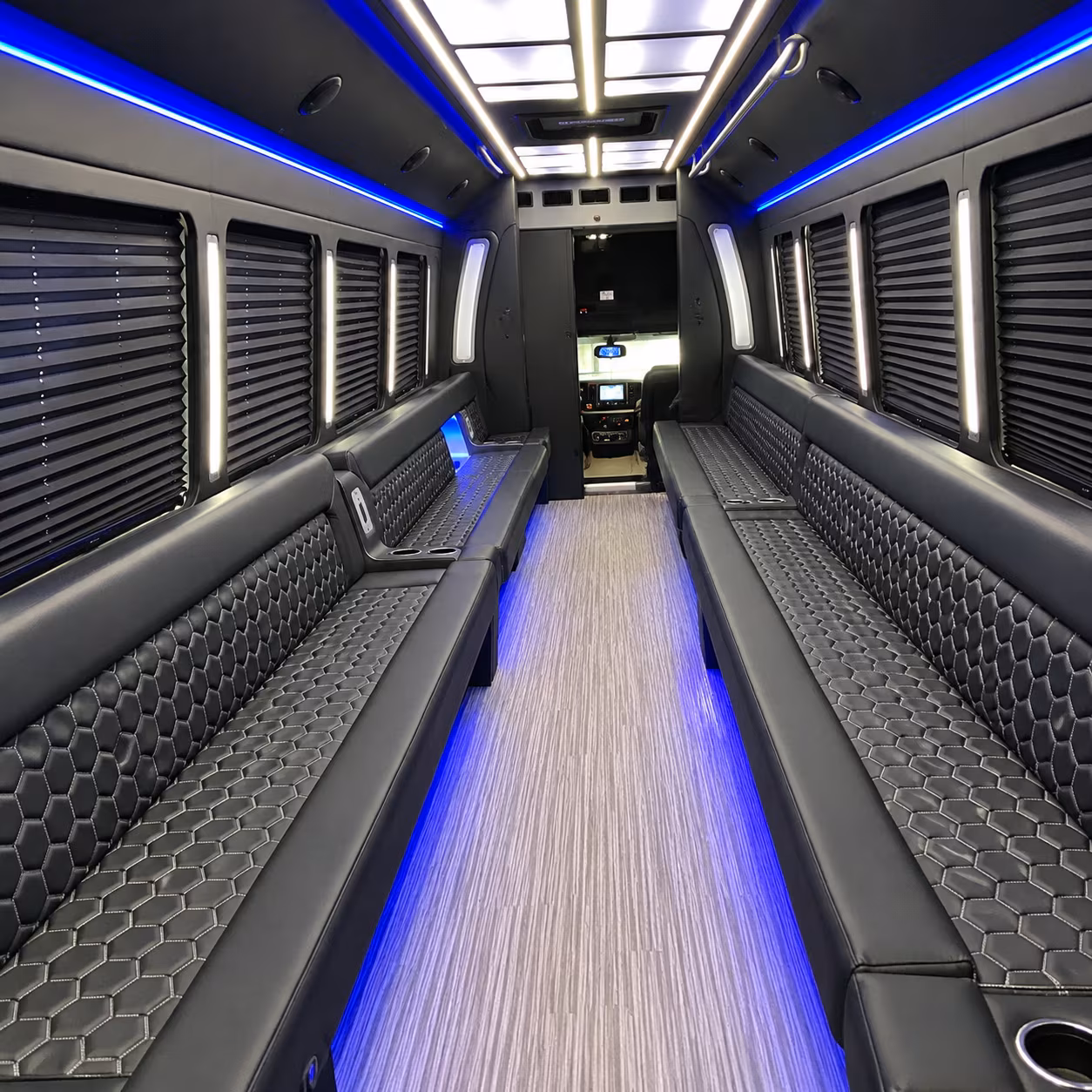 avondale party bus rentals inside