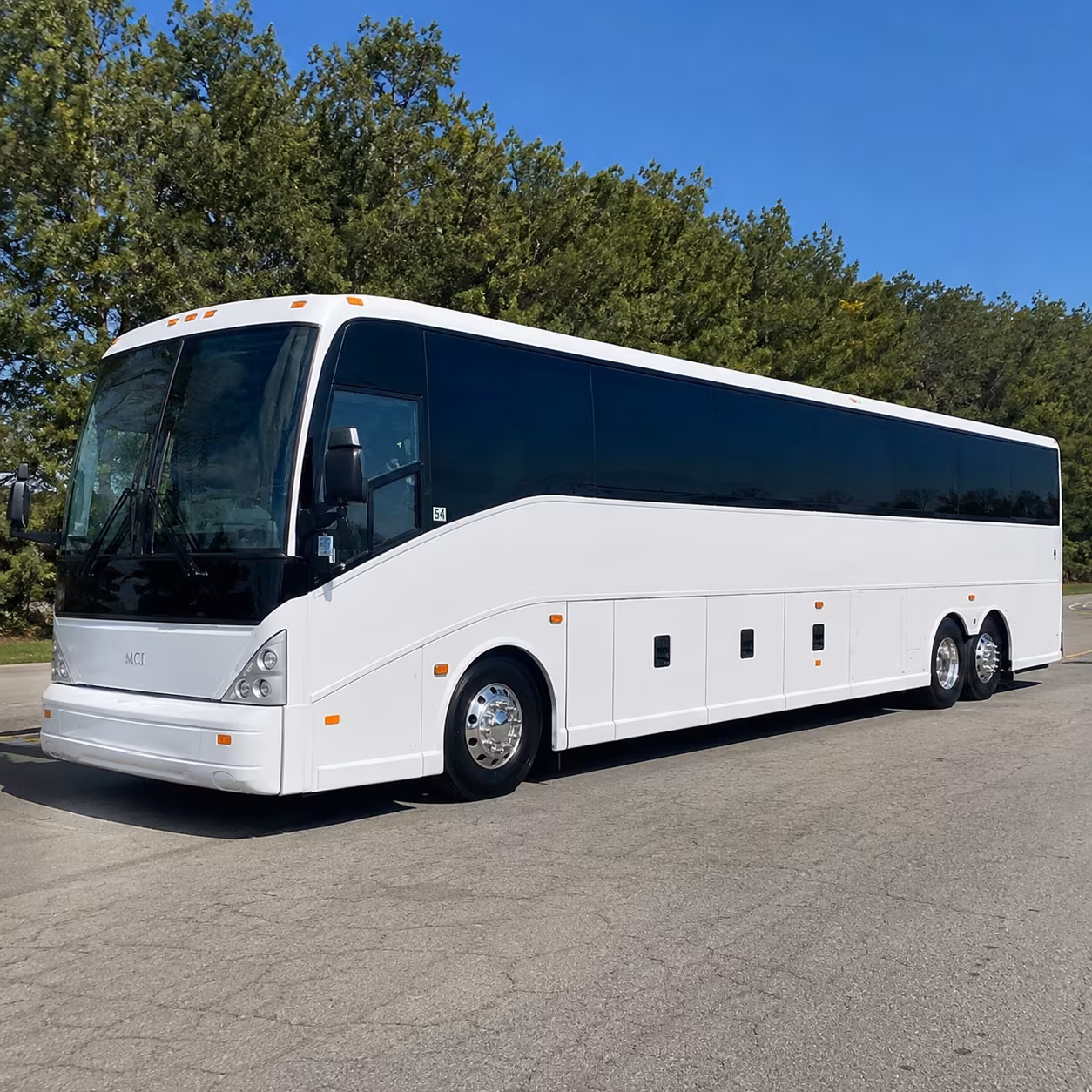 one search for your avondale group trip